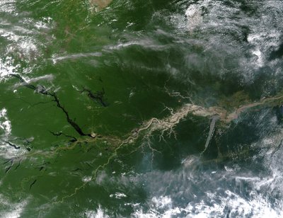 True-color satellite image of the River Amazon, down which flows one fifth of river water entering Earth